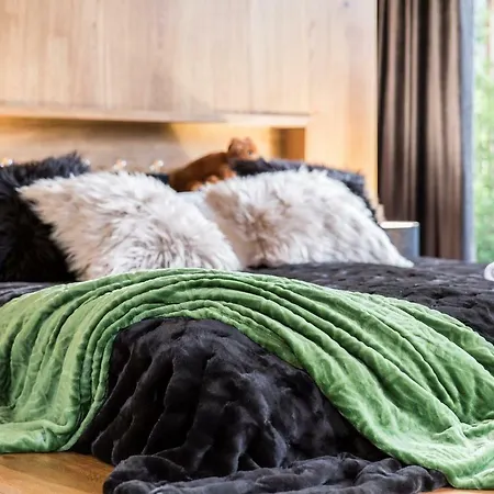 Nowy Komfortowy & Grizzly De Lux Appartamento Zakopane