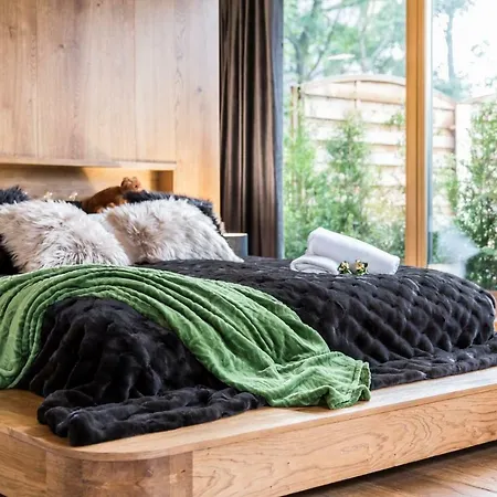 Appartamento Nowy Komfortowy & Grizzly De Lux Zakopane
